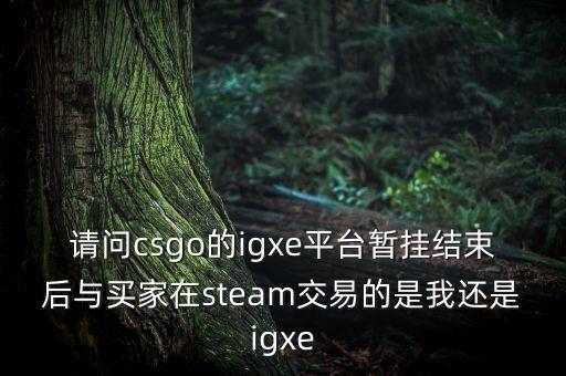 请问csgo的igxe平台暂挂结束后与买家在steam交易的是我还是igxe