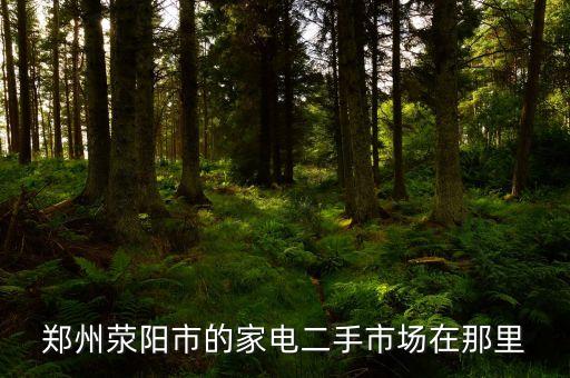 郑州荥阳市的家电二手市场在那里