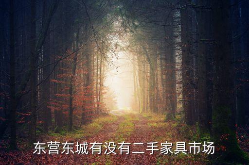东营东城有没有二手家具市场