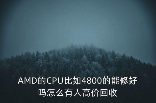 回收坏cpu的是怎么回事，AMD的CPU比如4800的能修好吗怎么有人高价回收