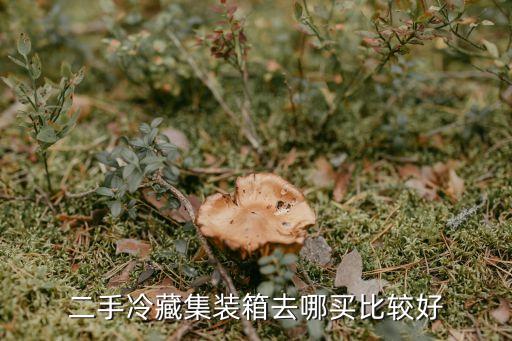 湖州冷库回收哪里买，我想卖个二手冷库得去哪买啊