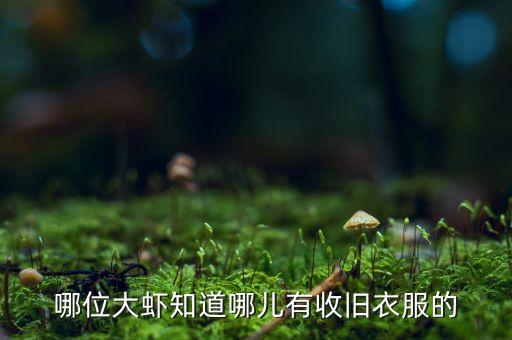 哪位大虾知道哪儿有收旧衣服的