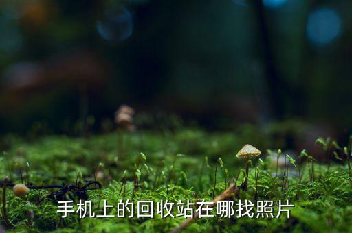 手机上的回收站在哪找照片