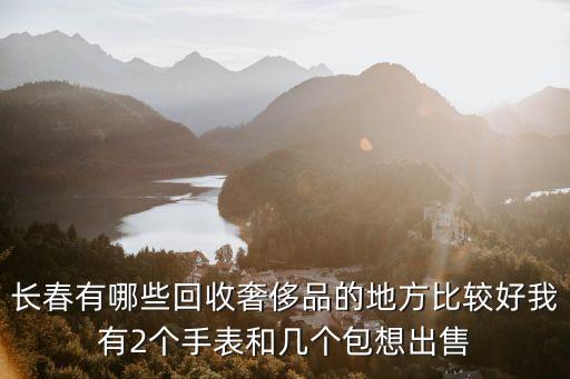 长春有哪些回收奢侈品的地方比较好我有2个手表和几个包想出售