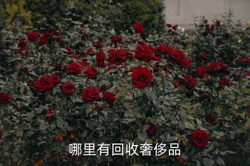 哪里有回收奢侈品