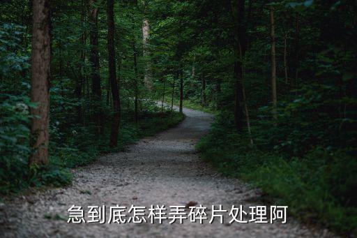 急到底怎样弄碎片处理阿