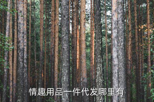 情趣用品一件代发哪里有