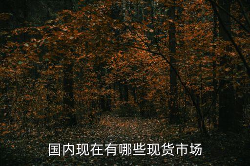 现货交易平台，国内现在有哪些现货市场