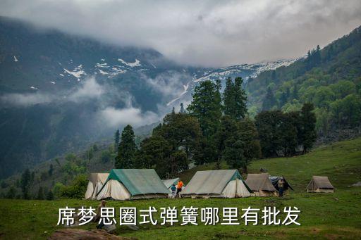 席梦思圈式弹簧哪里有批发