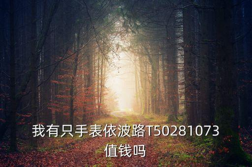 我有只手表依波路T50281073值钱吗