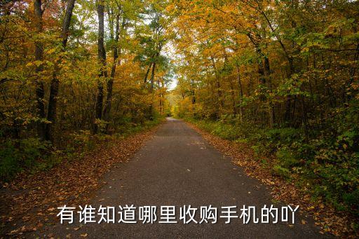 有谁知道哪里收购手机的吖