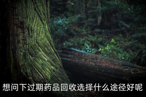 想问下过期药品回收选择什么途径好呢