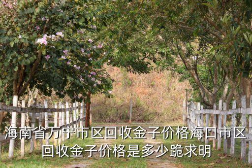 海南省万宁市区回收金子价格海口市区回收金子价格是多少跪求明
