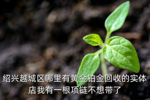 绍兴越城区哪里有黄金铂金回收的实体店我有一根项链不想带了