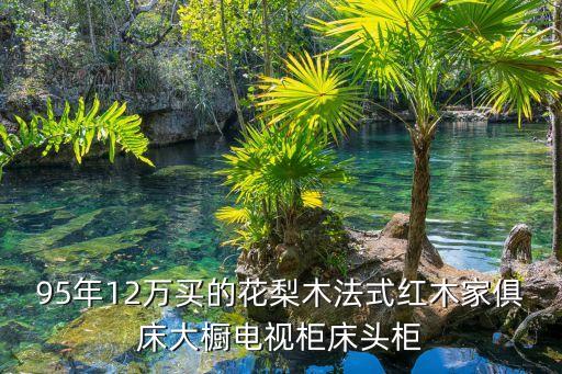 95年12万买的花梨木法式红木家俱床大橱电视柜床头柜