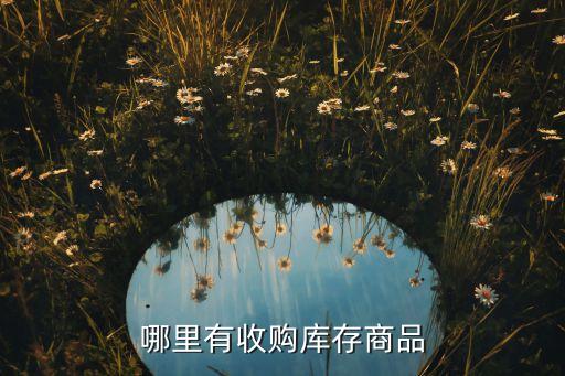 超市百货库存尾货回收，问 30 本人不开超市了请问哪里有回收超市里的食品本人急