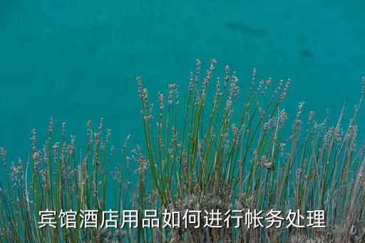 宾馆酒店用品如何进行帐务处理