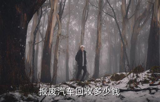 报废汽车回收多少钱