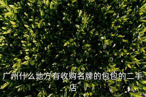 广州哪里有回收包包的，广州回收二手包的地方多吗求推荐