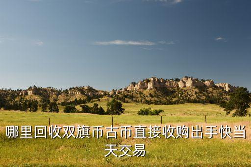 哪里回收双旗币古币直接收购出手快当天交易
