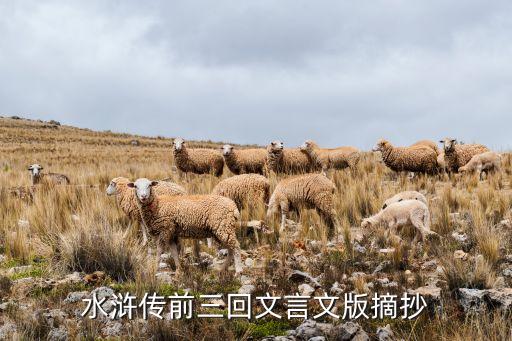 盖州哪里回收烟酒，求文言文版水浒传文章摘抄 3处 每处300 字左右...