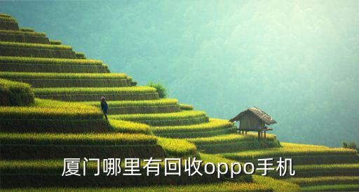 厦门哪里有回收oppo手机