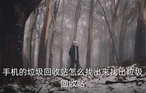 手机的垃圾回收站怎么找出来找出垃圾回收站