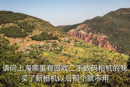 请问上海哪里有回收二手数码相机的我买了新相机以后那个就不用