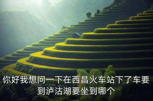 西昌哪里回收手表，西昌有名牌二手回收店吗