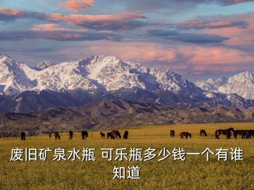 回收塑料瓶多少钱一个，塑料瓶和易拉罐瓶收破烂什么价格