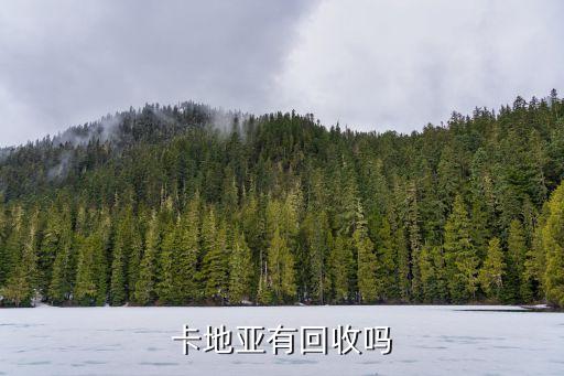 卡地亚有回收吗