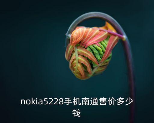 nokia5228手机南通售价多少钱