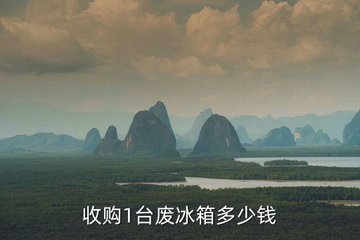 收购1台废冰箱多少钱