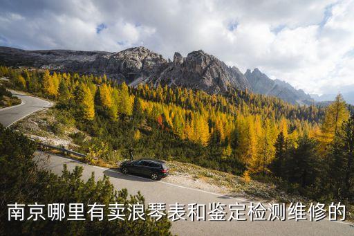 南京哪里有卖浪琴表和鉴定检测维修的