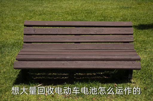 想大量回收电动车电池怎么运作的