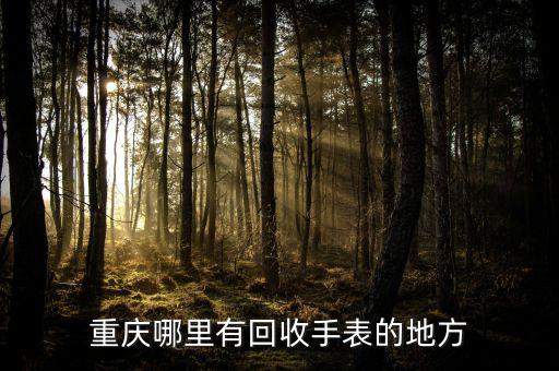 重庆哪里回收手表，重庆哪里有回收手表的重庆手表回收店