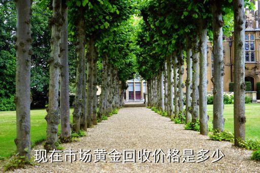 市场回收金价是多少，现在黄金回收价是多少啊