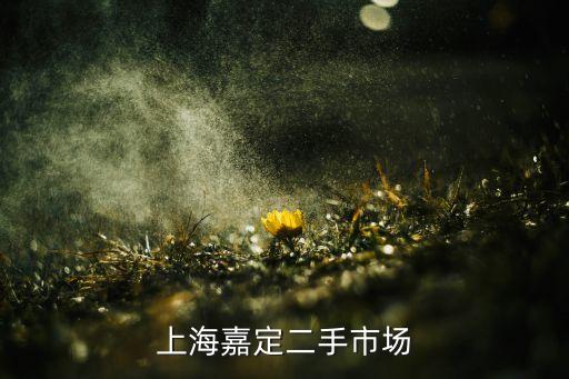 上海嘉定二手市场