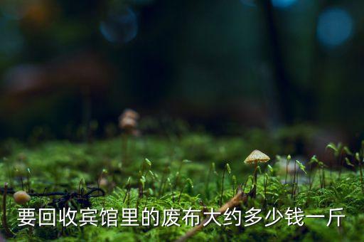 要回收宾馆里的废布大约多少钱一斤