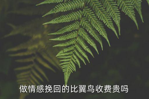 做情感挽回的比翼鸟收费贵吗
