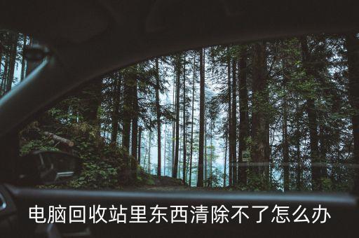 电脑回收站里东西清除不了怎么办