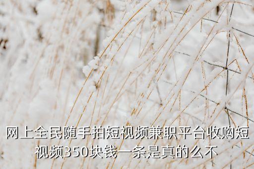 网上全民随手拍短视频兼职平台收购短视频350块钱一条是真的么不