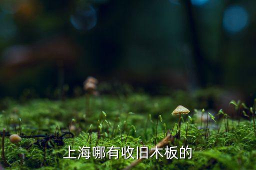 上海哪有收旧木板的