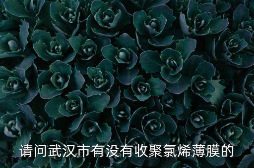请问武汉市有没有收聚氯烯薄膜的