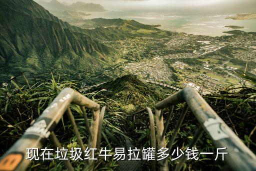红牛罐回收多少钱，红牛易拉罐废品站回收吗