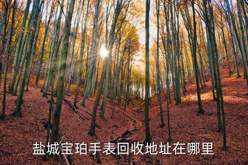 盐城宝珀手表回收地址在哪里