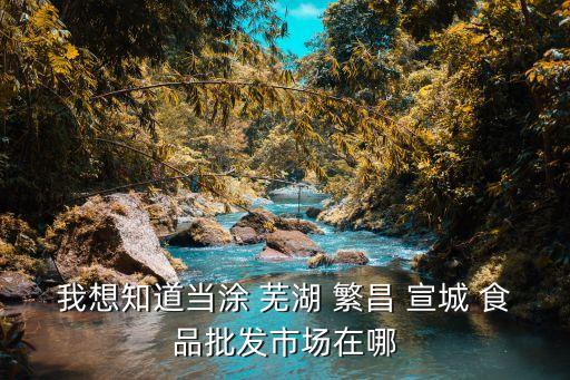 我想知道当涂 芜湖 繁昌 宣城 食品批发市场在哪