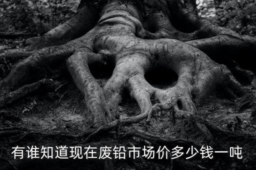 有谁知道现在废铅市场价多少钱一吨