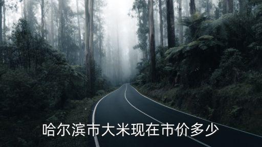 哈尔滨市大米现在市价多少