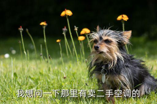 我想问一下那里有卖二手空调的